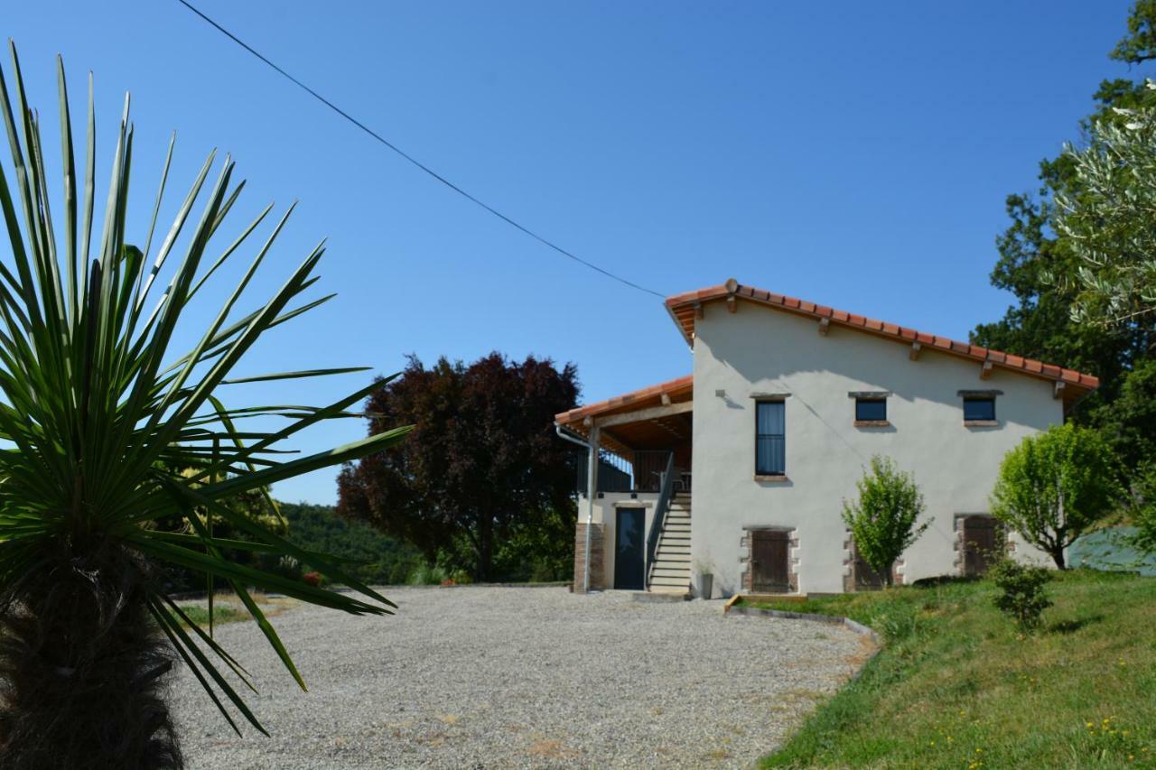 Villa La Safraniere Lagraulet-Saint-Nicolas Exterior foto