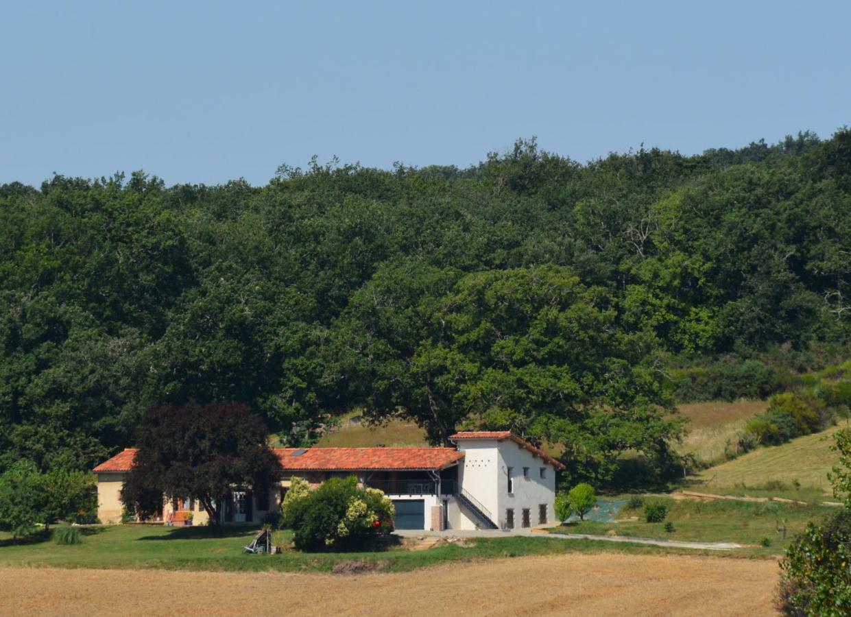 Villa La Safraniere Lagraulet-Saint-Nicolas Exterior foto